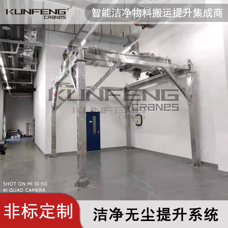 定柱洁净室双梁行吊
