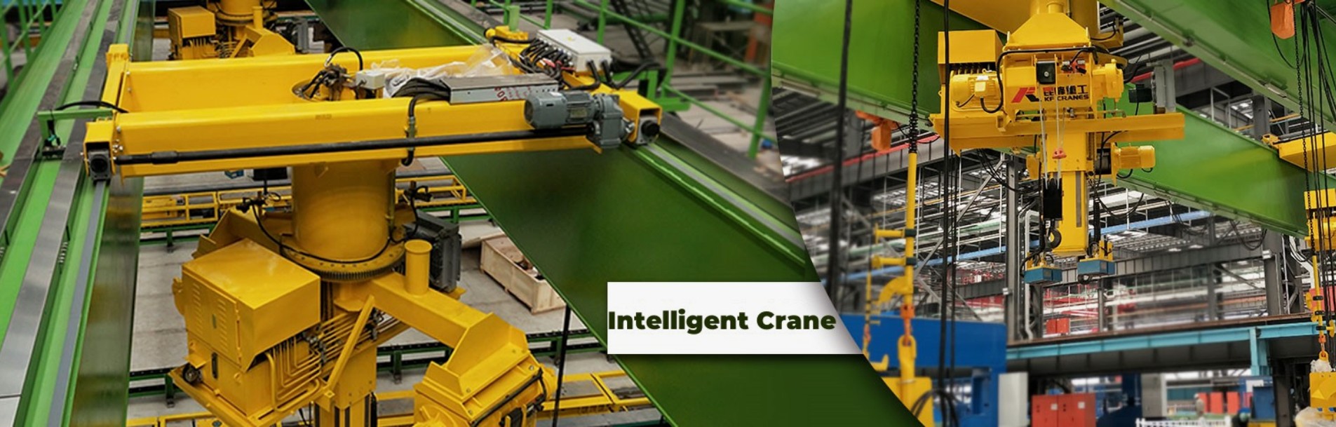 Intelligent crane