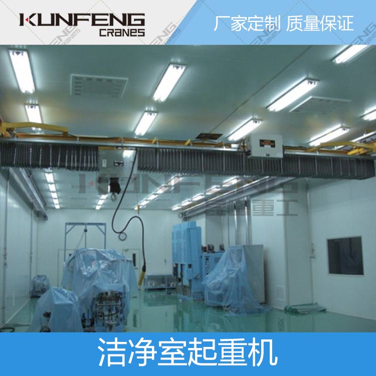 医学洁净室起重机